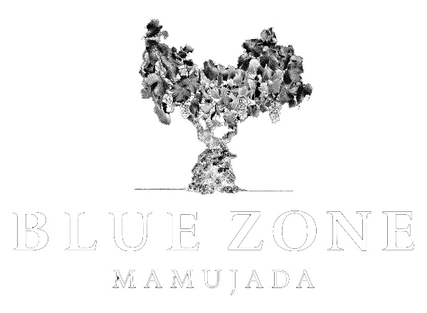 BLUE ZONE