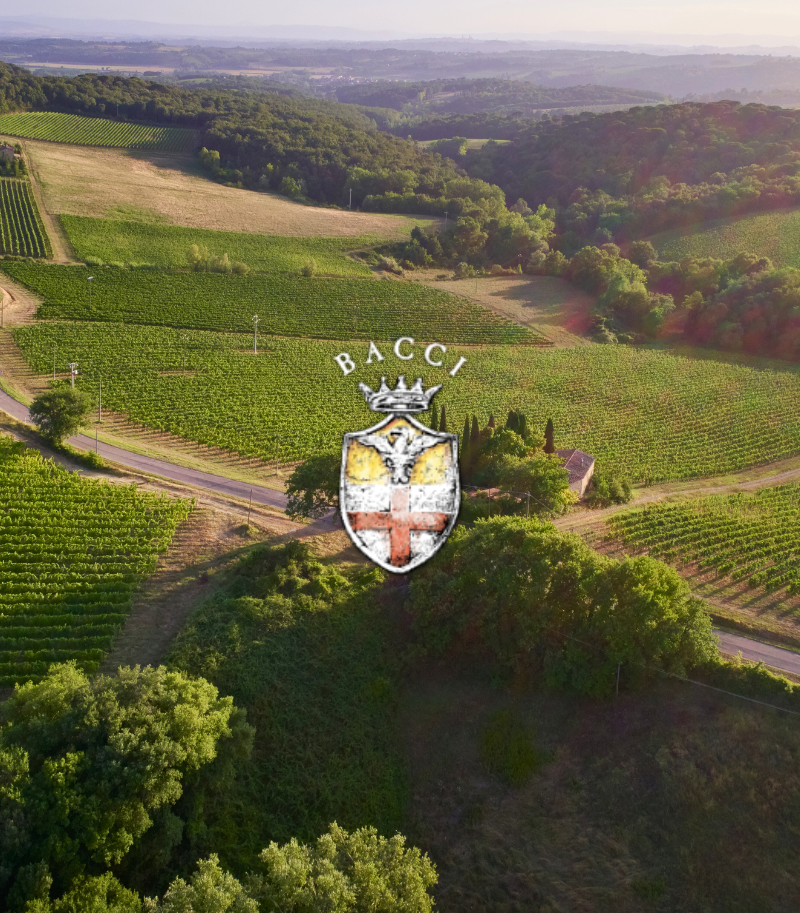 Bacci Wines: the best of Tuscan excellence
